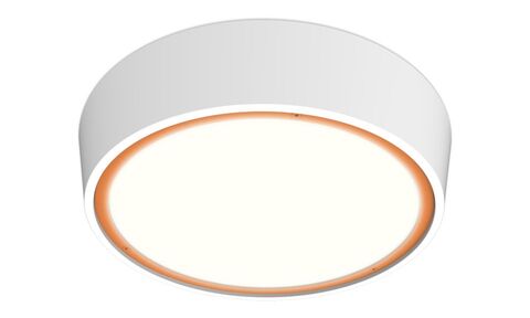 OX lite Thumbnail Image